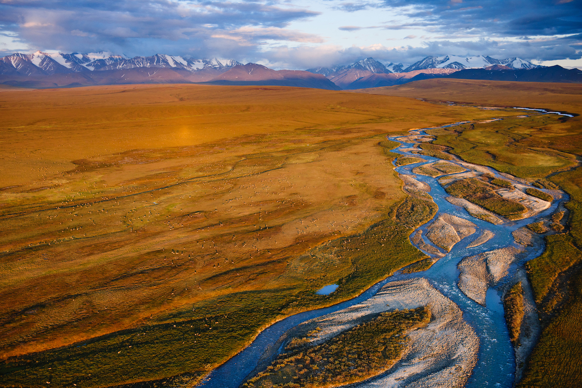 A refuge in the arctic - ANWR